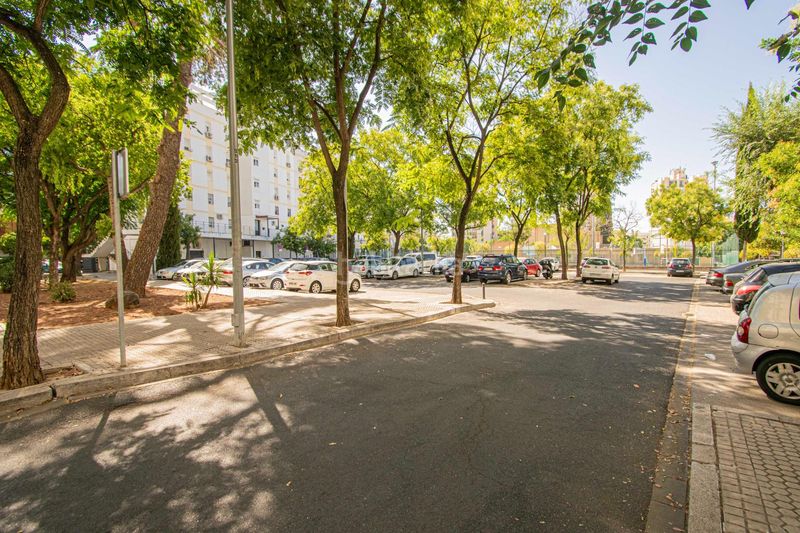 Foto e3c99ac8-82a8-408d-b67d-8303344a4a7d. Pis a San Pablo Sevilla