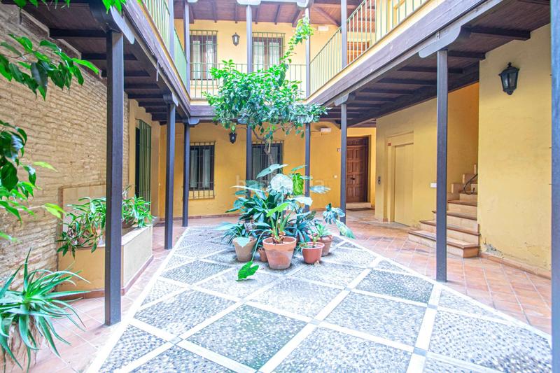 Foto d03d13c5-5f30-4836-ad9b-c49363bec70a. Appartement dans Alfalfa - Santa Cruz Sevilla