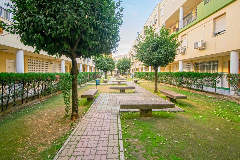 Foto bf03d048-1c70-47ff-a99c-a3ecae03f2ee. Pis a Pino Montano - Consolación Sevilla