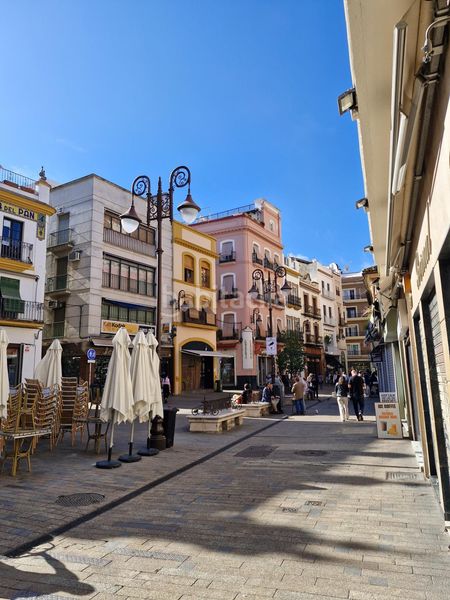 Foto 0c4f879d-456a-423e-8dc6-bc0bea7086d6. Pis a Alfalfa - Santa Cruz Sevilla