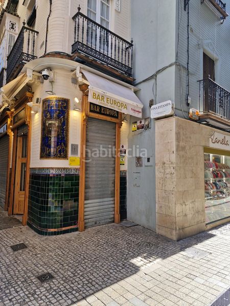 Foto 33b5ca72-d373-41c1-85c4-9789ebcb6e42. Pis a Alfalfa - Santa Cruz Sevilla