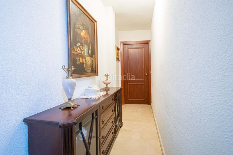 Foto 138cc3db-eb55-4721-b602-9f00f154dc7a. Pis a Encarnación - Regina Sevilla