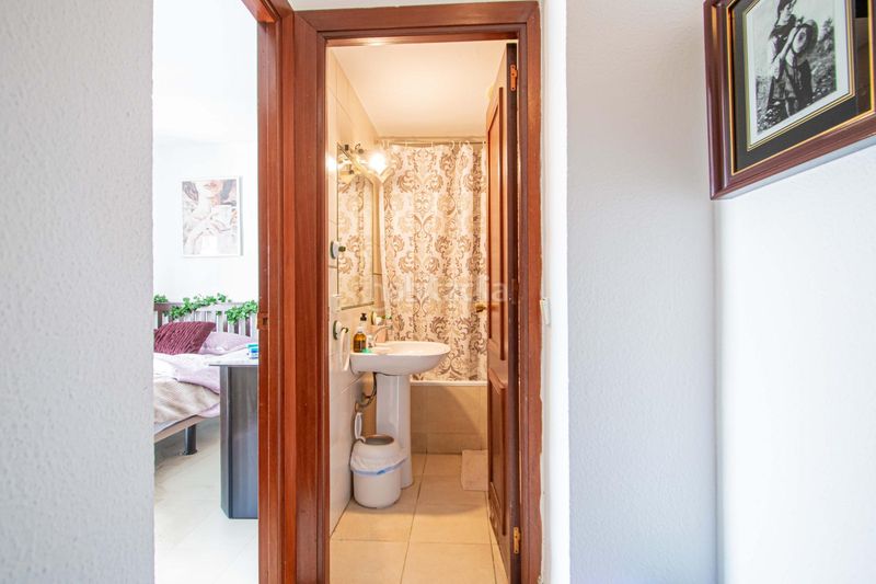 Foto 9543238f-028b-4c58-a074-90773f2e01a5. Pis a Encarnación - Regina Sevilla