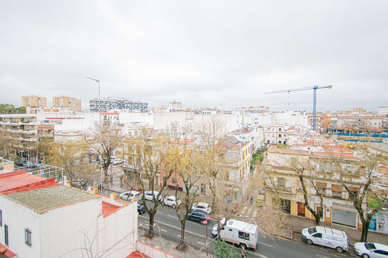 Foto 4172080c-e153-4b5c-8154-4fd8c886a69b. Pis a Cruz Roja Sevilla