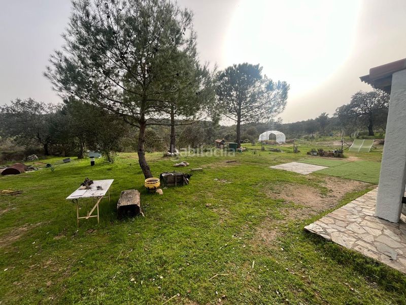 Foto 32898db7-c098-49b8-9018-7174bef61bcb. Masia amb aparcament piscina a Ronquillo (El)