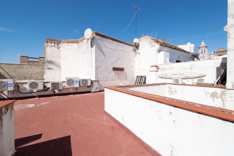 Foto 0757eecb-4739-4167-b57c-4eb44f5abb57. Pis a Alfalfa - Santa Cruz Sevilla