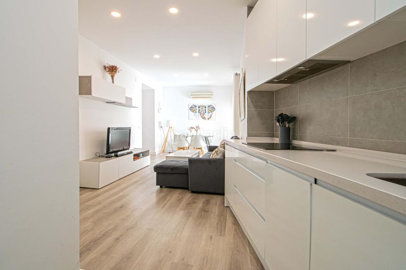 Foto 4ecbba11-7519-46f3-b002-67f07fc2d88e. Pis a Alfalfa - Santa Cruz Sevilla