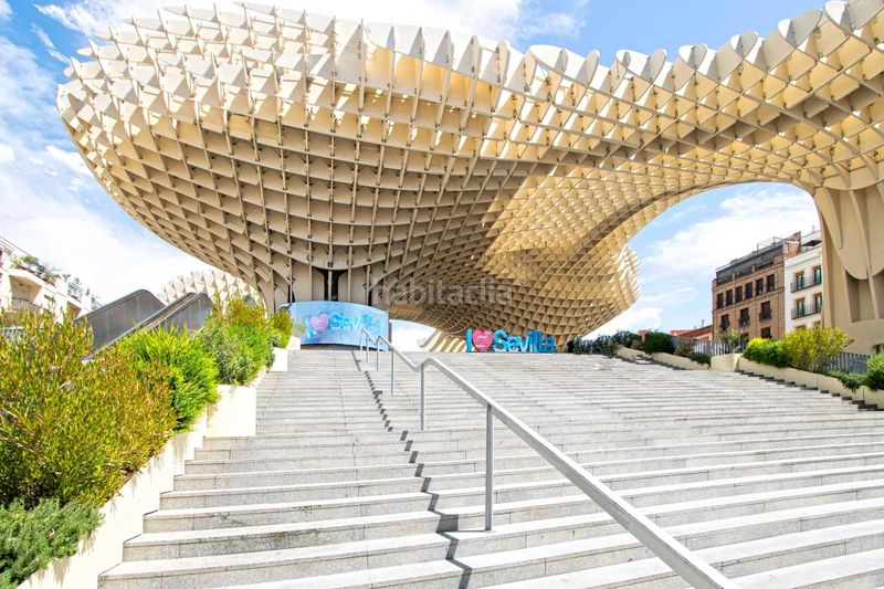 Foto 5ec8e881-84e1-4aef-9253-5b67345ab66f. Pis a Alfalfa - Santa Cruz Sevilla