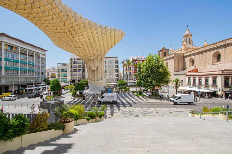 Foto 7ce20acb-cb87-488e-8679-b25e35d1efcf. Pis a Alfalfa - Santa Cruz Sevilla