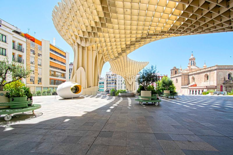 Foto a9be7a44-ad9f-4ccf-acba-ed00453c6bed. Pis a Alfalfa - Santa Cruz Sevilla