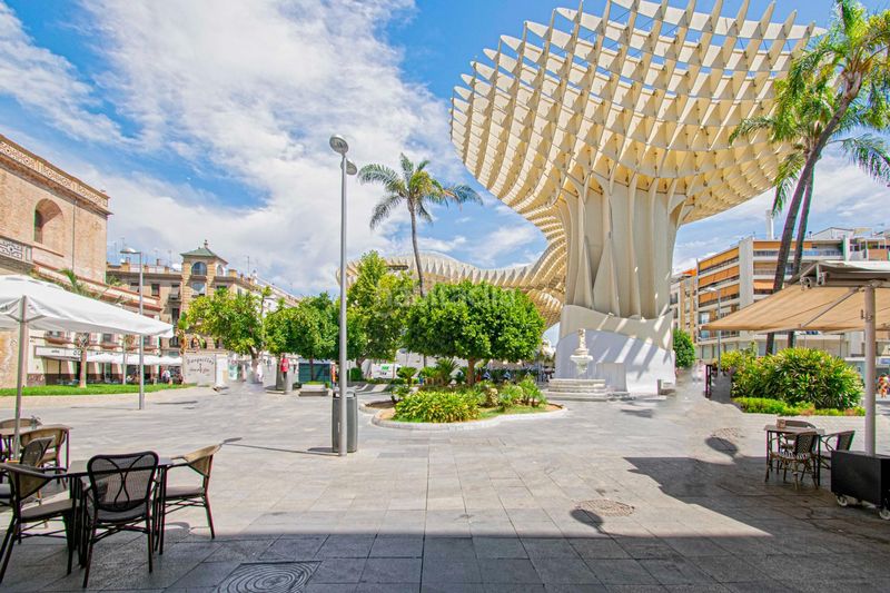 Foto dee08781-a633-4d0c-92b6-40dd0f13a0cf. Pis a Alfalfa - Santa Cruz Sevilla