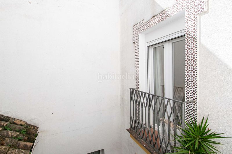 Foto ee268c95-a0b6-4c18-b519-3e1e6f4e41c8. Pis a Alfalfa - Santa Cruz Sevilla