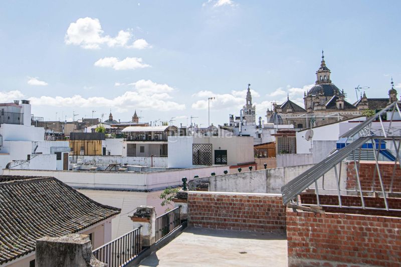 Foto f52b0906-b906-4ab5-9250-63f761e591ea. Pis a Alfalfa - Santa Cruz Sevilla