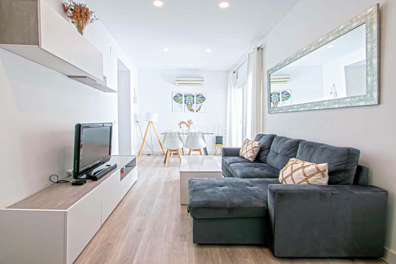 Foto f74d3c8d-75f7-4478-94ca-56694216d988. Pis a Alfalfa - Santa Cruz Sevilla