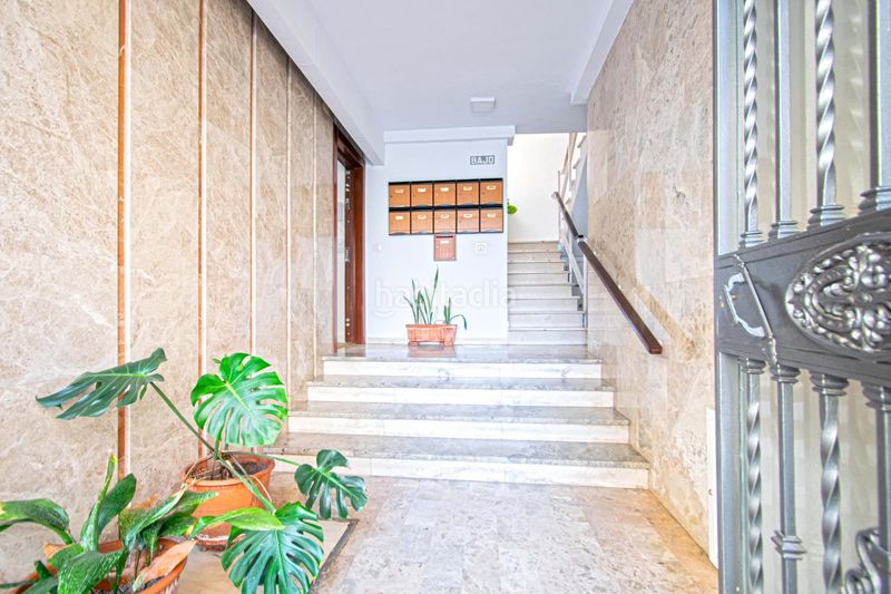 Foto 2d0eace2-eabc-4d6d-baa0-6f7ccb739129. Planta baixa a Cruz Roja Sevilla