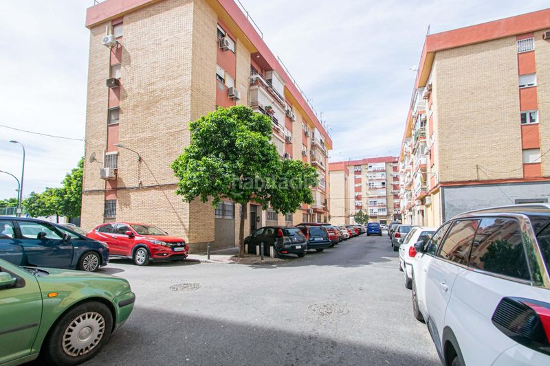 Foto f65d1a7c-6952-4f98-82ea-8280155eec04. Planta baixa a Cruz Roja Sevilla