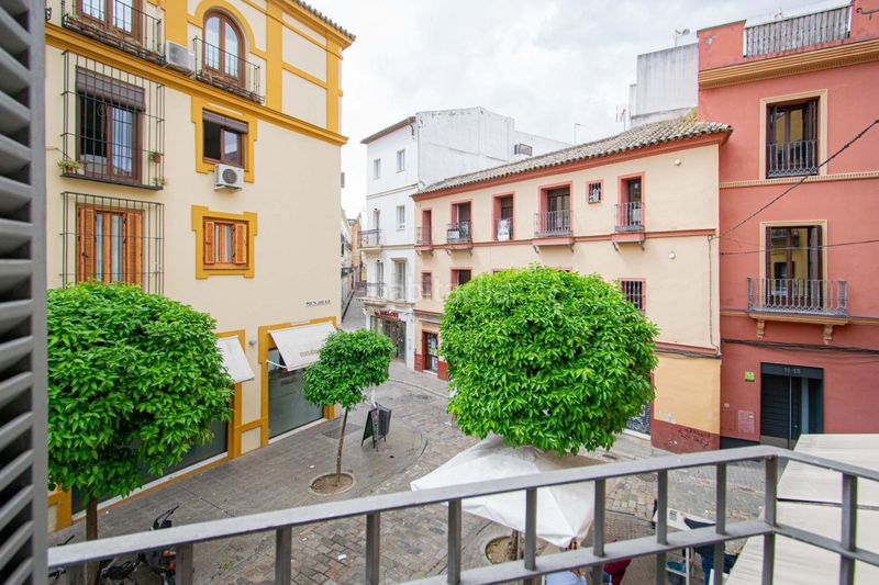 Foto 0d7affd7-7ae0-41ec-8efd-7726a860b627. Casa amb calefacció aparcament a Feria Sevilla