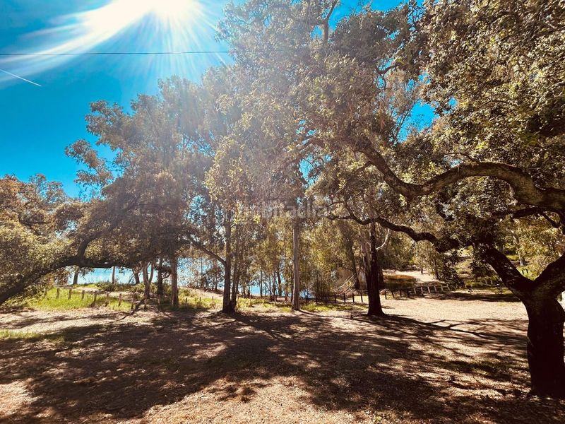 Foto df9ef93d-547e-4487-a6d1-c41c7b1ece3c. Pis amb piscina a Los Lagos Guillena