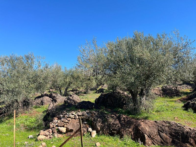 Foto a5d87854-2391-4f76-abf0-f7314aeb490c. Finca rústica a Zufre