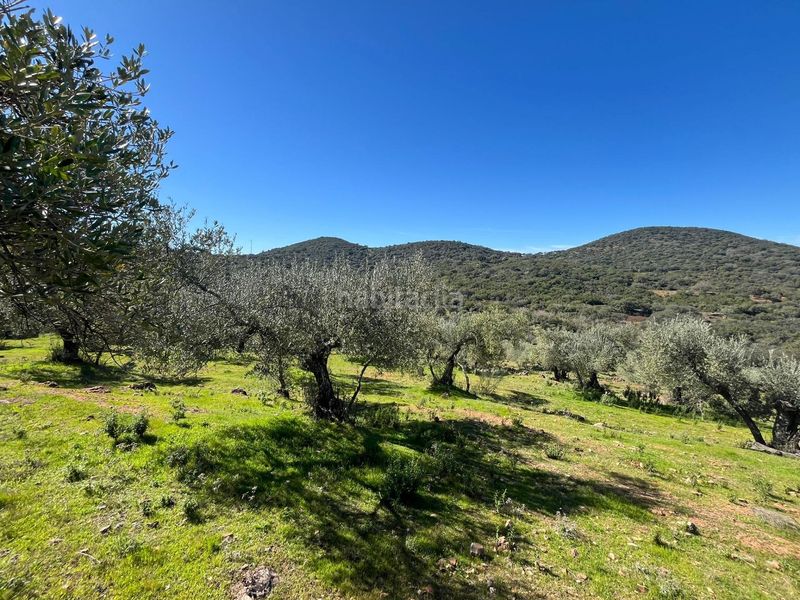 Foto d22a8245-0ca7-4bb1-93e8-324ecda34969. Finca rústica a Zufre