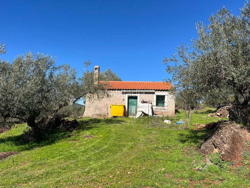 Foto e0cb260e-fa6e-42f5-b9f4-a84fd6c6c01e. Finca rústica a Zufre