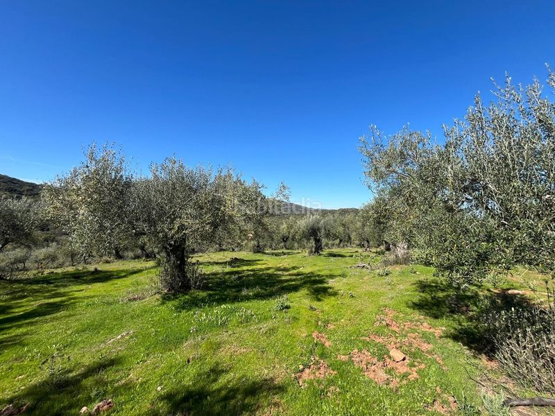 Foto fce83f68-4c04-4117-97d0-d7c4b1e4776e. Finca rústica a Zufre