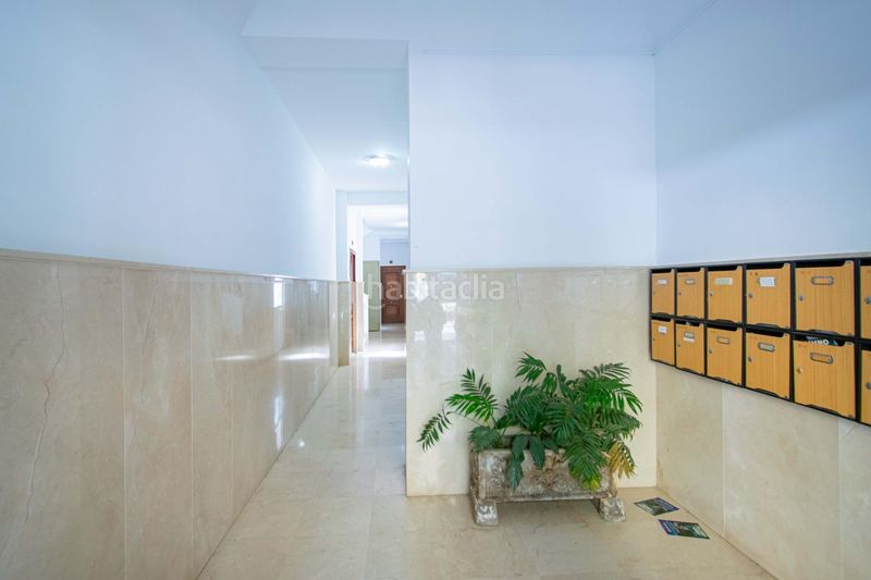 Foto 95ddb940-8831-4746-bbe7-d53140d92a15. Pis a Bami - La Estrella Sevilla