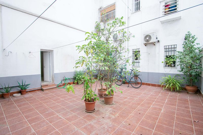 Foto c8b93f5a-5563-4c99-bff2-546f1bf91e7d. Pis a Bami - La Estrella Sevilla