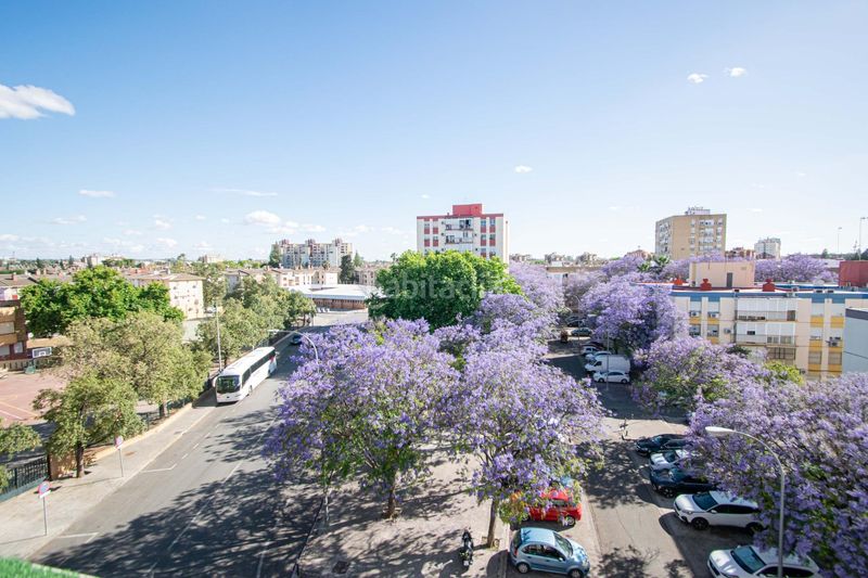 Foto f5a5c123-2dde-4b06-a860-25c4ad99f006. Pis a La Oliva Sevilla