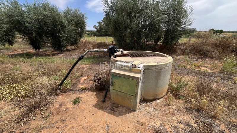 Foto 424e8713-fcf4-4415-a1c6-685ae040b368. Finca rústica a Pilas