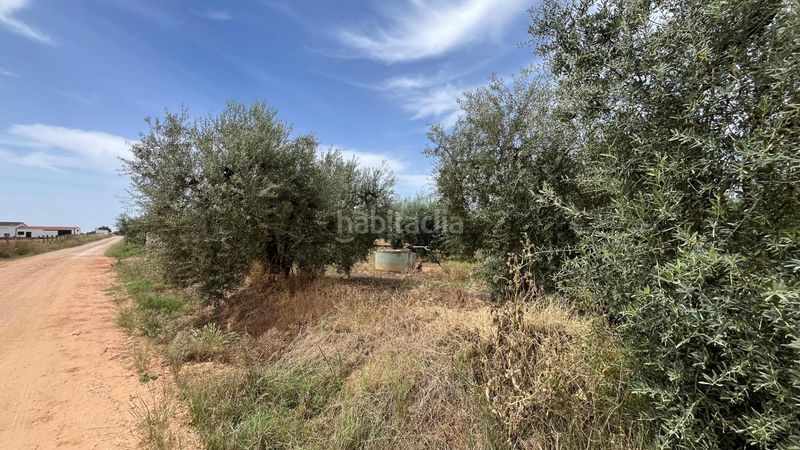 Foto 73964d88-cee2-4fa1-9622-66e4d7804bad. Finca rústica a Pilas