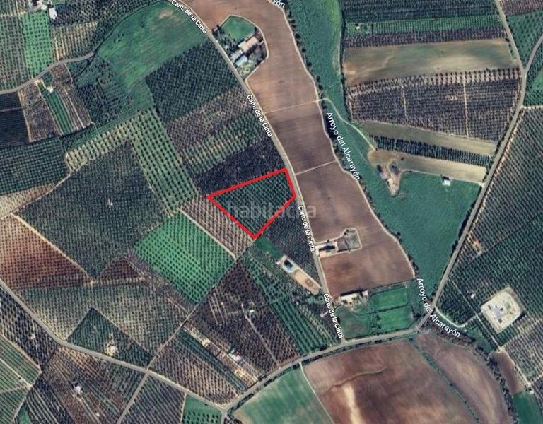 Foto 8601f8e1-d377-4b00-a324-70e683e87741. Finca rústica a Pilas