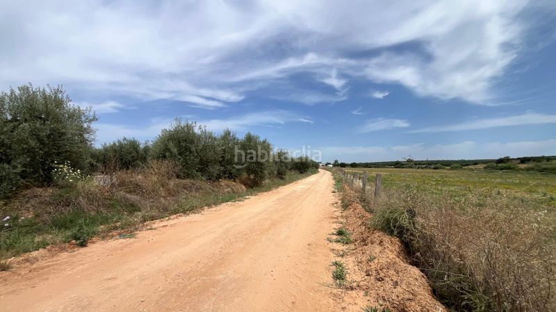 Foto ab01166e-1bbf-4986-aeaa-11ac3a6cd152. Finca rústica a Pilas