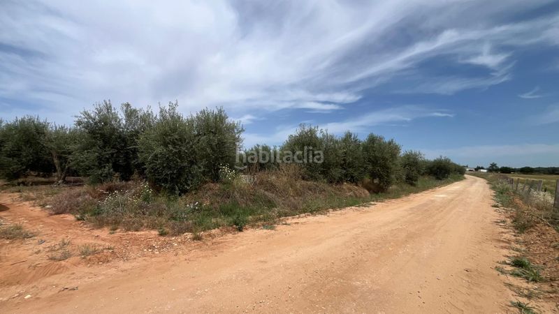 Foto c26ee152-c08e-42f8-9152-452c922e968e. Finca rústica a Pilas