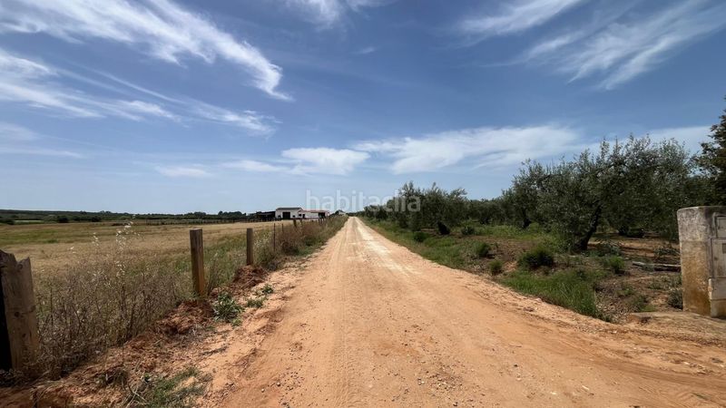 Foto cc7071bc-0652-4672-a30f-9786467dc97a. Finca rústica a Pilas