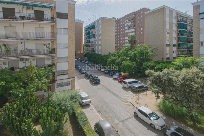 Foto 0e88d2a9-33c0-4a89-95fd-5bb71a9d9266. Pis a Barrio del Nervión Sevilla
