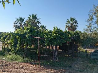 Residential Plot in San Jerónimo - La Bachillera. Gran oportunidad, suelo urbanizable en polígono san jerónimo!!!