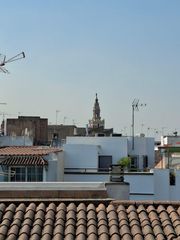 Studiowohnung in Alfalfa - Santa Cruz. Estudio completamente reformado en el corazón de sevilla!!!