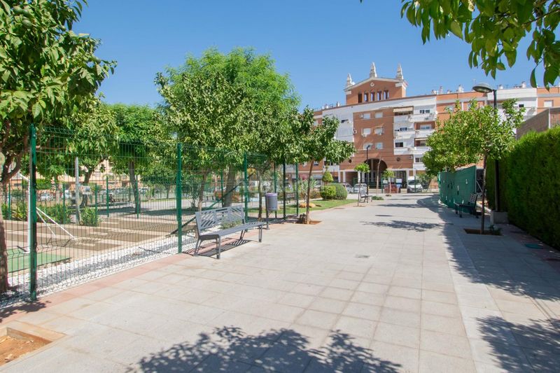Foto e5854be0-ba7b-4a49-a614-5e69c970d891. Pis amb calefacció aparcament piscina a Avenida de Europa Montequinto