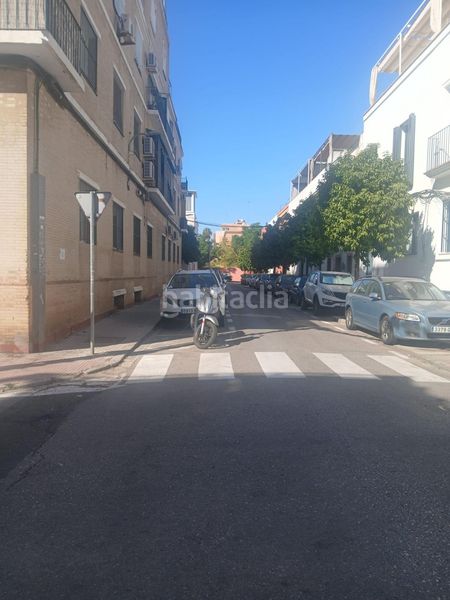 Foto 4eec1325-32f8-4da3-bb3d-028022eab7ff. Pis a Tiro de Línea Sevilla