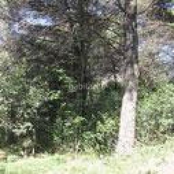 Foto 59907fb5-0da4-4ade-96d9-7e9d22794b8b. Terreny residencial a Seva