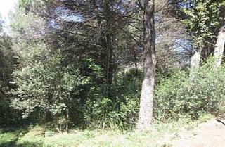 Terreny residencial  Seva - avda pau casals. Terreny en venda a seva