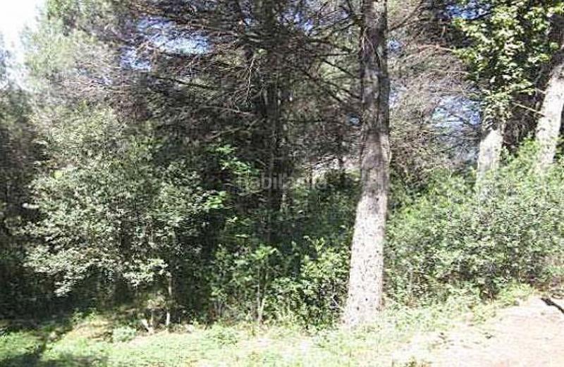 Foto 6e7bbe0d-80ed-4bac-8bfe-cb8df8eb5d68. Terreny residencial a Seva