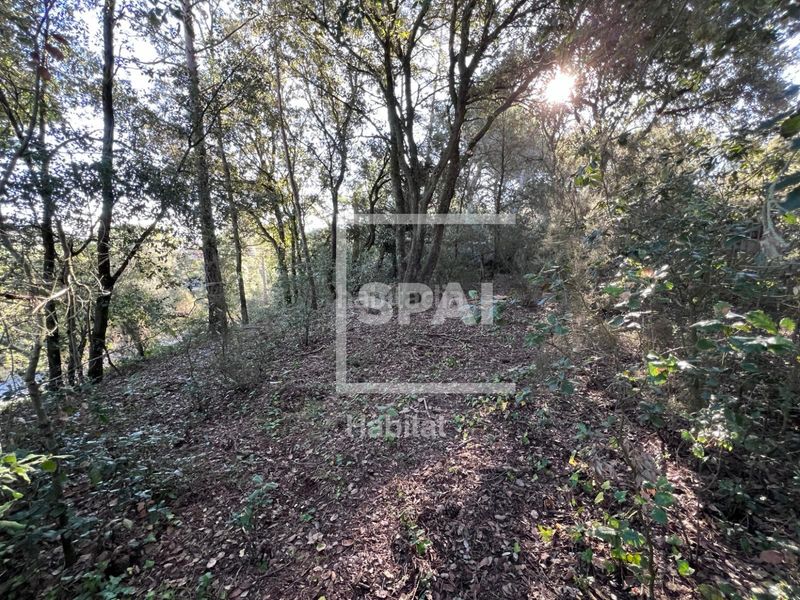 Foto 47416a14-0a59-4b71-8edb-f6f35d7f8f88. Terreny residencial a Sant Quirze Safaja