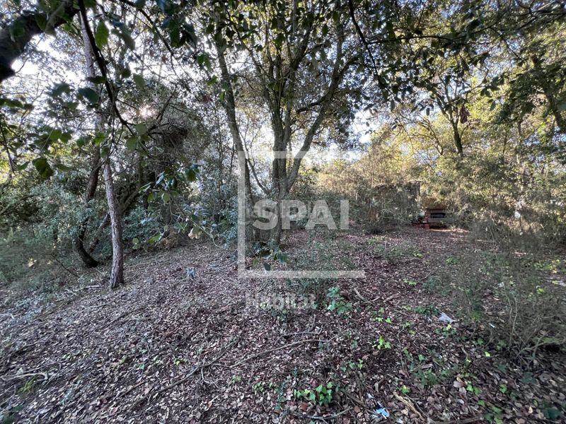 Foto ba37cc67-c778-400d-8f76-4cc752da2662. Terreny residencial a Sant Quirze Safaja