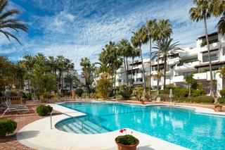 Appartement à Avenida melvin villaroel 20. Ficus 31 es un ático excepcional situado en los hermosos jardine
