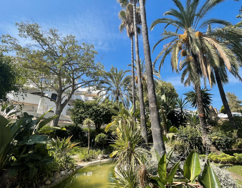 Foto 8bc12218-c431-43f6-aff6-9953411bc318. Ático  frente al mar en elviria, en Real de Zaragoza Marbella