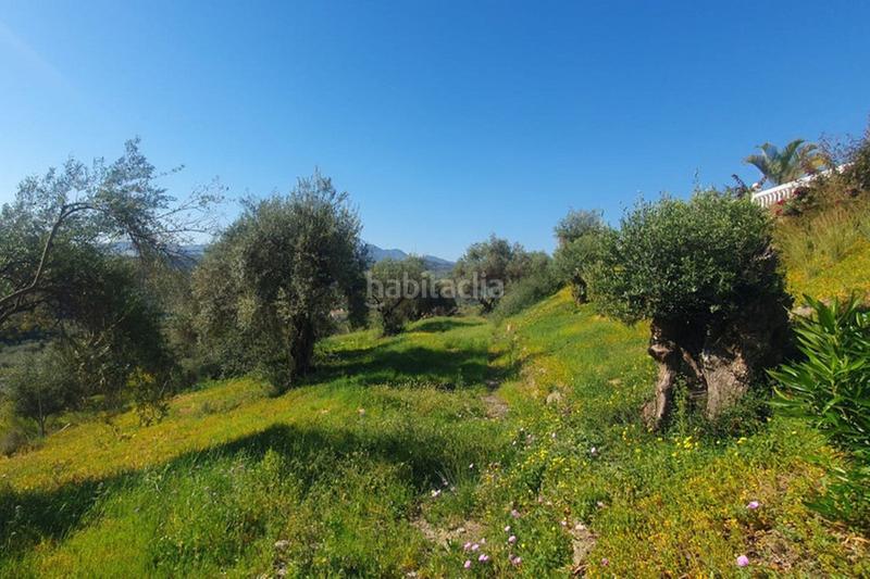 Foto b63a6979-de5d-44e5-b074-808719fcf5fe. Casa a Coín