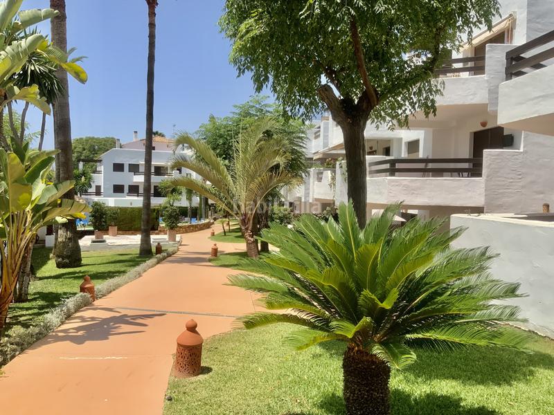 Foto b6af5a81-6205-4a07-a0c2-5401a37f3b62. Apartament a calle trajano 11 a Villacana - Costalita - Saladillo Estepona