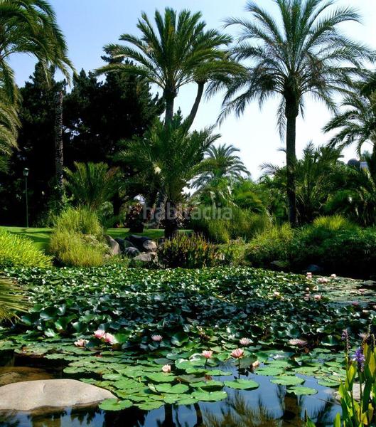 Foto b4488f61-1e05-432b-8cb4-887f42a9155b. Dachwohnung mit pool in Puerto Banús Marbella